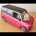 トヨタ自動車様 カローラスポーツ