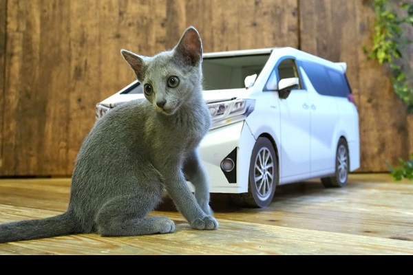 トヨタ自動車様 アルファード