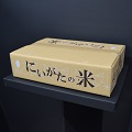 イチゴ用 ダンボールケース(事例2)