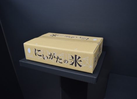 新潟産米用 段ボールケース (米俵柄)