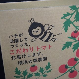トマト用 ダンボールケース (事例2)