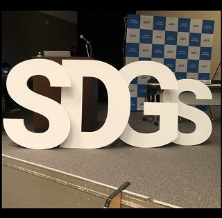 特大 イニシャルオブジェ (SDGs)